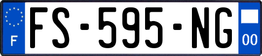 FS-595-NG