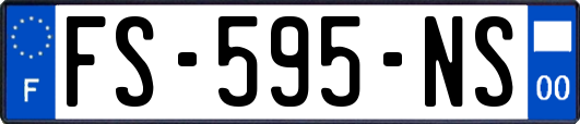 FS-595-NS
