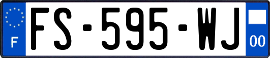 FS-595-WJ