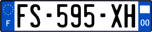 FS-595-XH