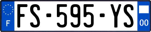 FS-595-YS