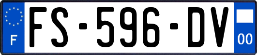 FS-596-DV