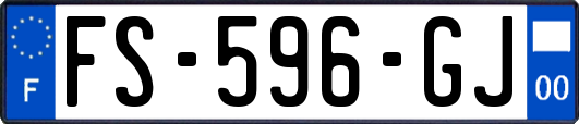 FS-596-GJ