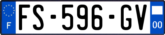 FS-596-GV