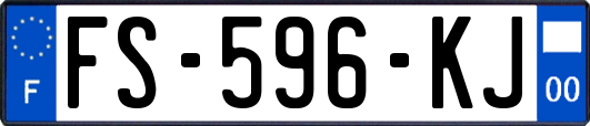 FS-596-KJ