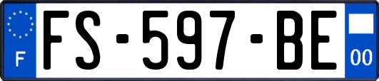 FS-597-BE