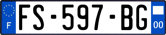 FS-597-BG
