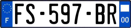FS-597-BR