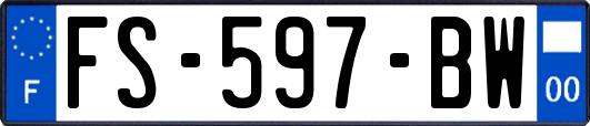 FS-597-BW