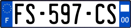 FS-597-CS