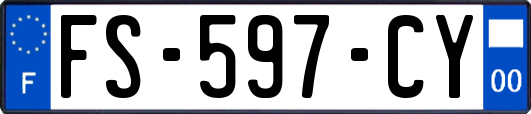 FS-597-CY