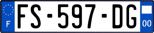 FS-597-DG