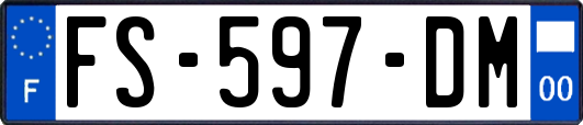 FS-597-DM