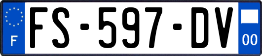FS-597-DV