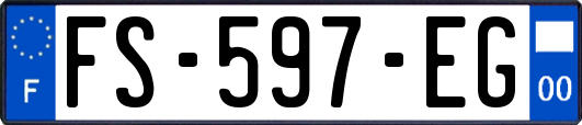 FS-597-EG