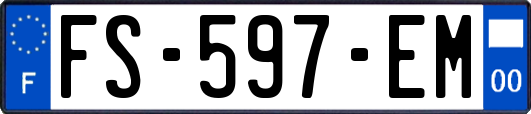 FS-597-EM