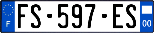 FS-597-ES