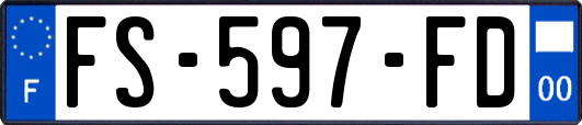 FS-597-FD