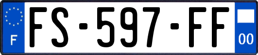 FS-597-FF