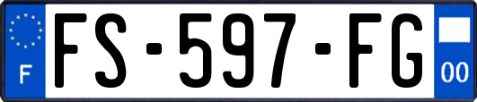 FS-597-FG