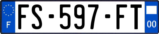FS-597-FT