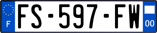 FS-597-FW