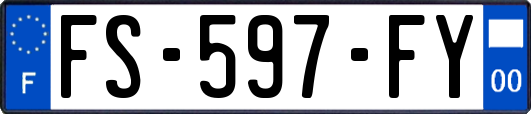 FS-597-FY