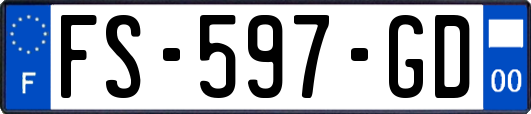 FS-597-GD
