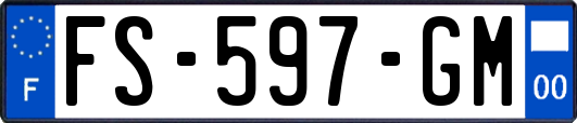FS-597-GM
