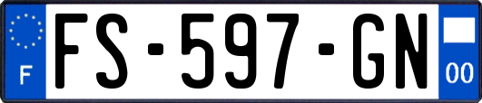 FS-597-GN