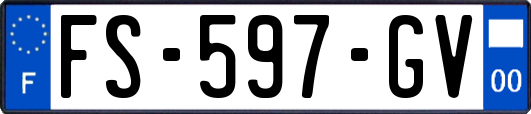 FS-597-GV
