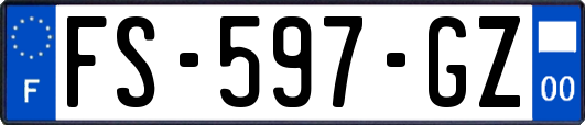 FS-597-GZ
