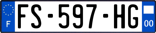 FS-597-HG