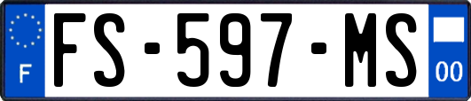 FS-597-MS