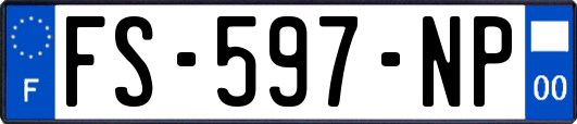 FS-597-NP