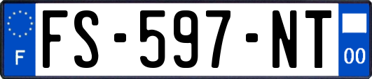 FS-597-NT
