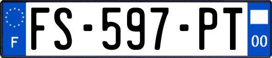 FS-597-PT