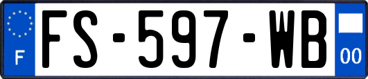FS-597-WB