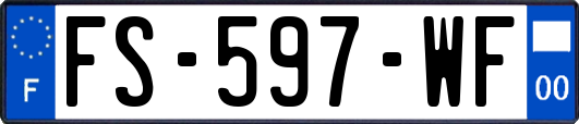 FS-597-WF