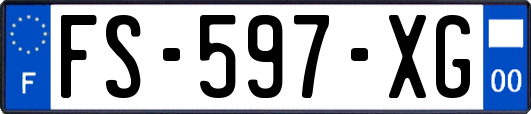 FS-597-XG