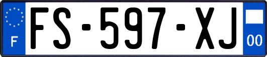 FS-597-XJ