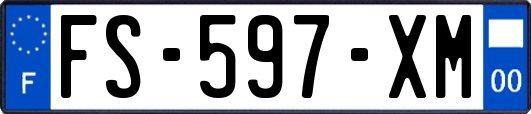 FS-597-XM