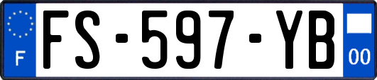 FS-597-YB