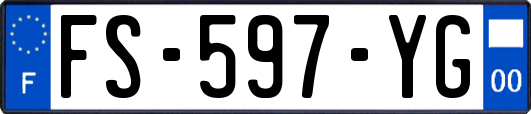 FS-597-YG