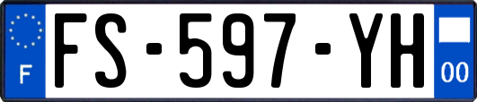 FS-597-YH