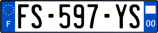 FS-597-YS