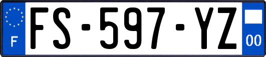 FS-597-YZ