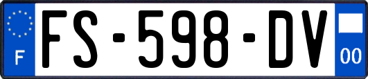 FS-598-DV