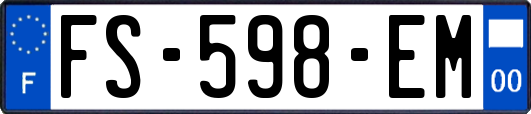 FS-598-EM