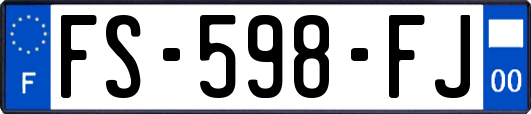 FS-598-FJ